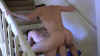 Fun_times.mp4_000687335.jpg (250286 bytes)